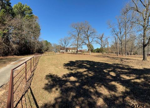 16120 CR 1130 Flint TX 75762