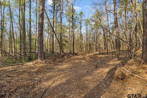 TBD FM 2015 Tyler TX 75708