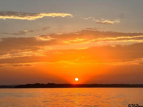 Lot 6A Lake Bluff Drive North Bullard TX 75757