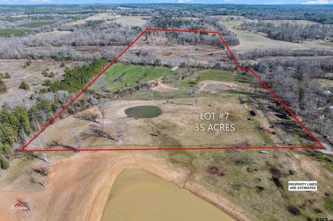 Lot 7 TBD CR 379 Laneville TX 75667