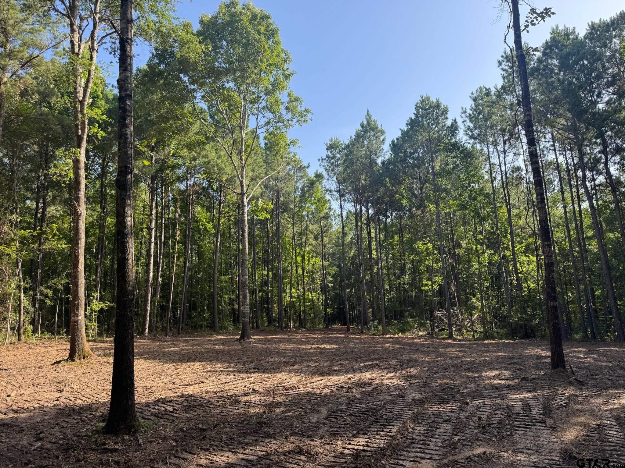 Tract 3A Cr 2322