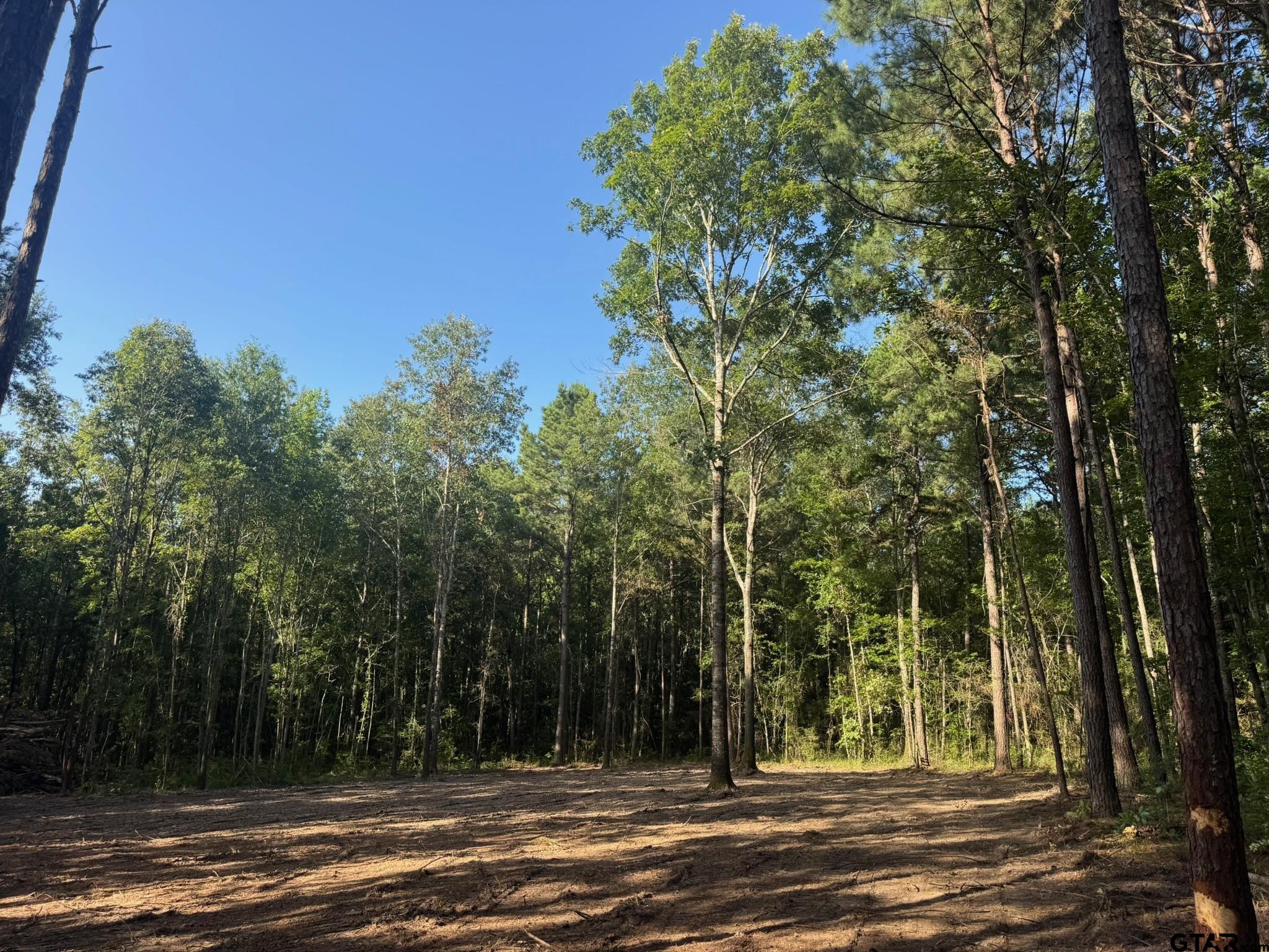 Tract 3A Cr 2322