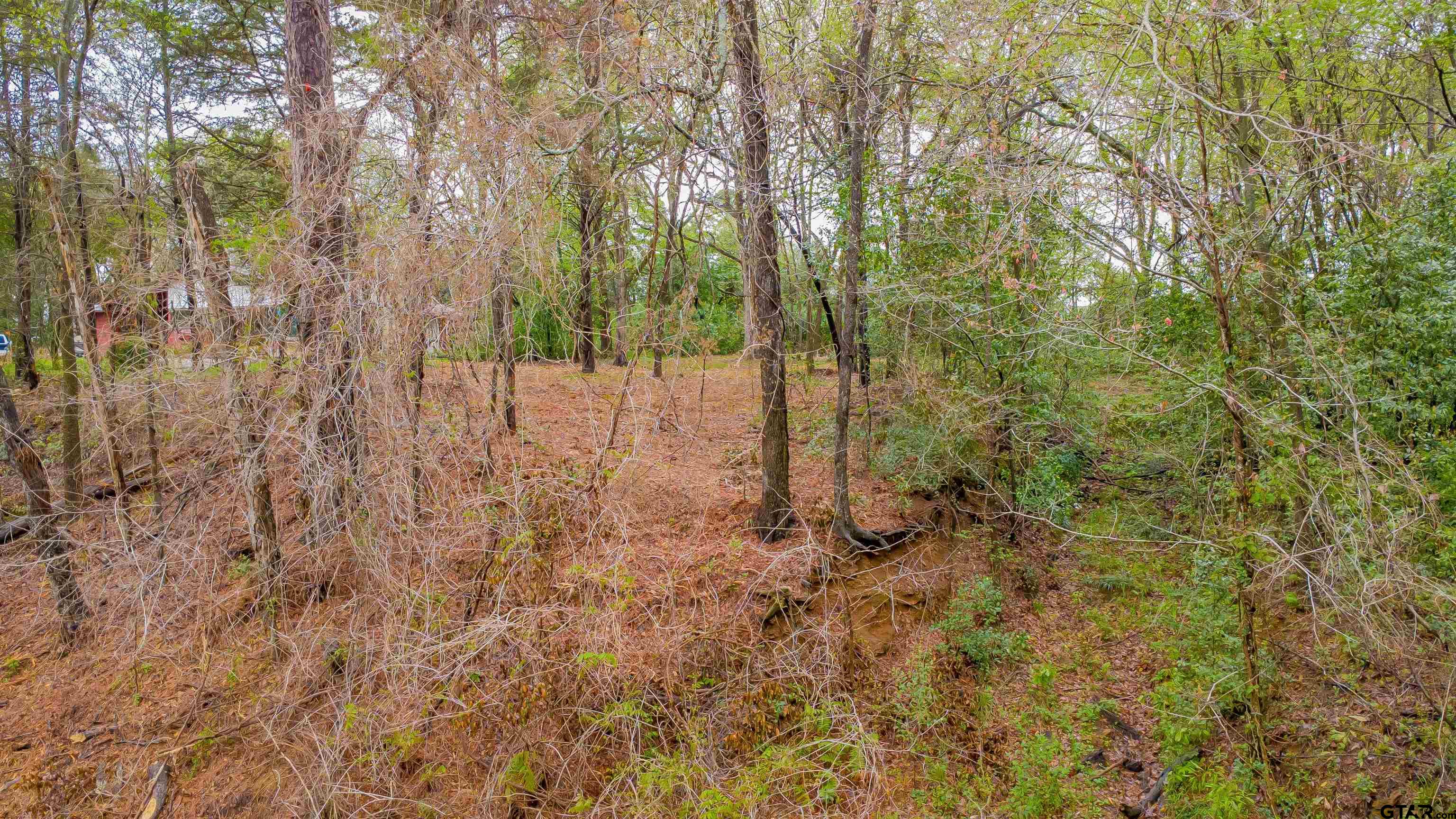 161 Fairway East