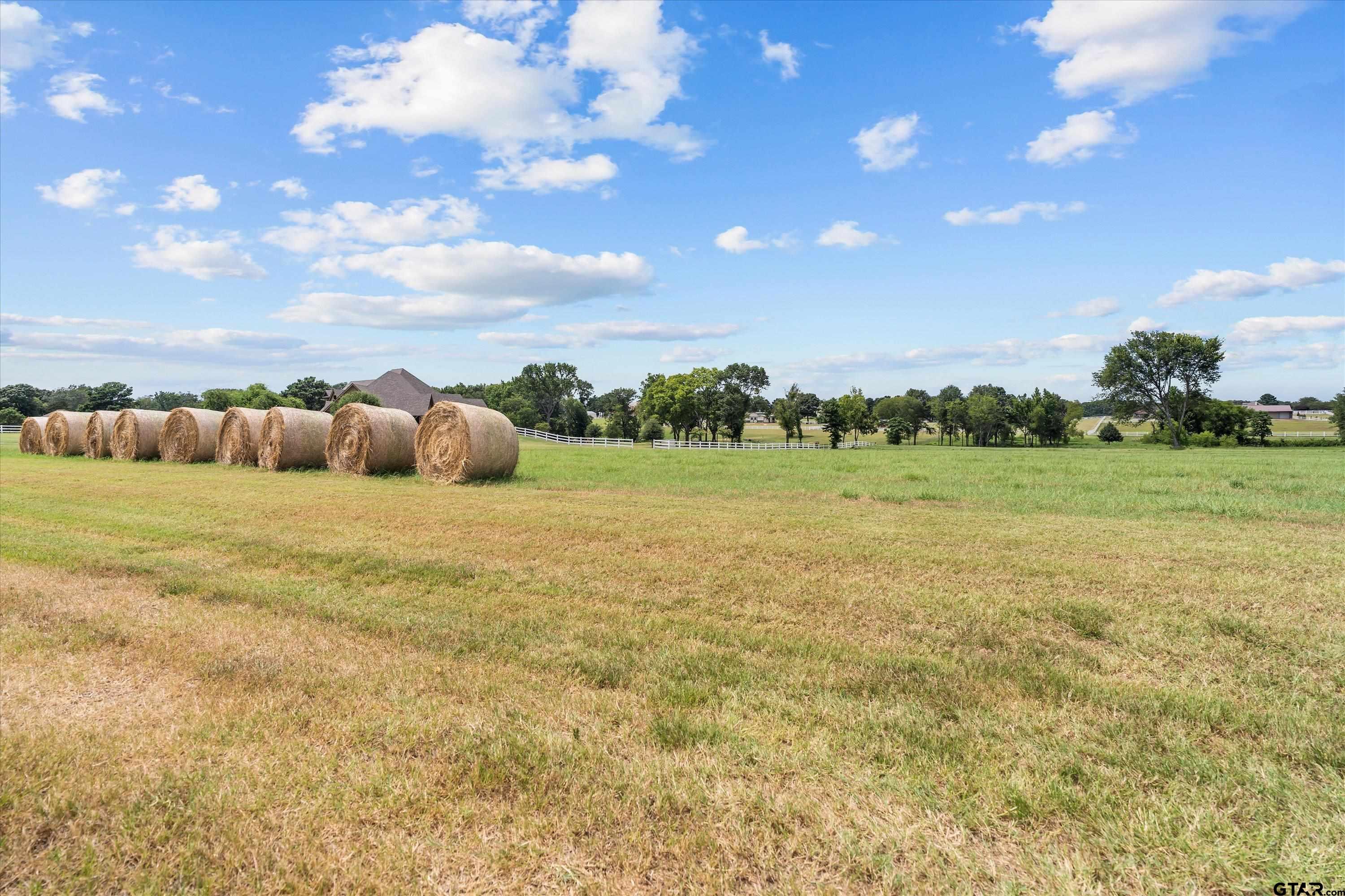 23050 Bridle View Drive