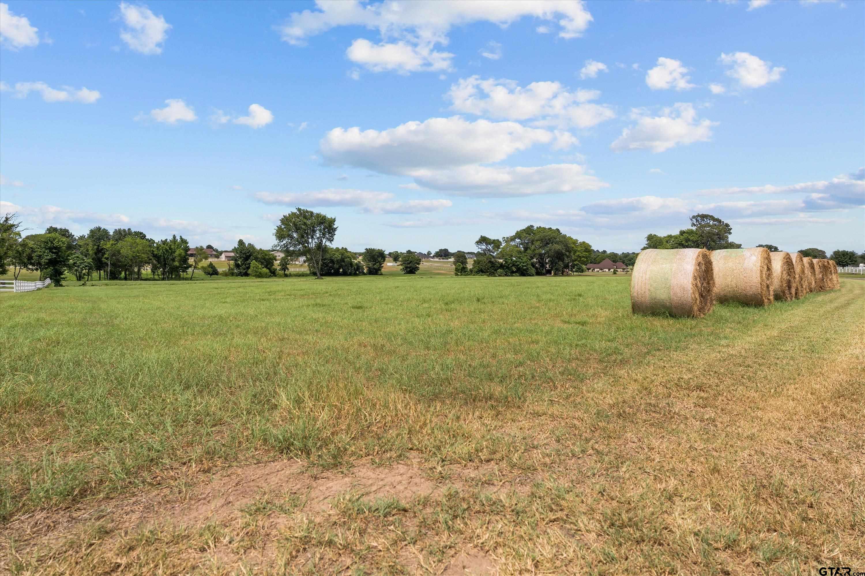 23050 Bridle View Drive