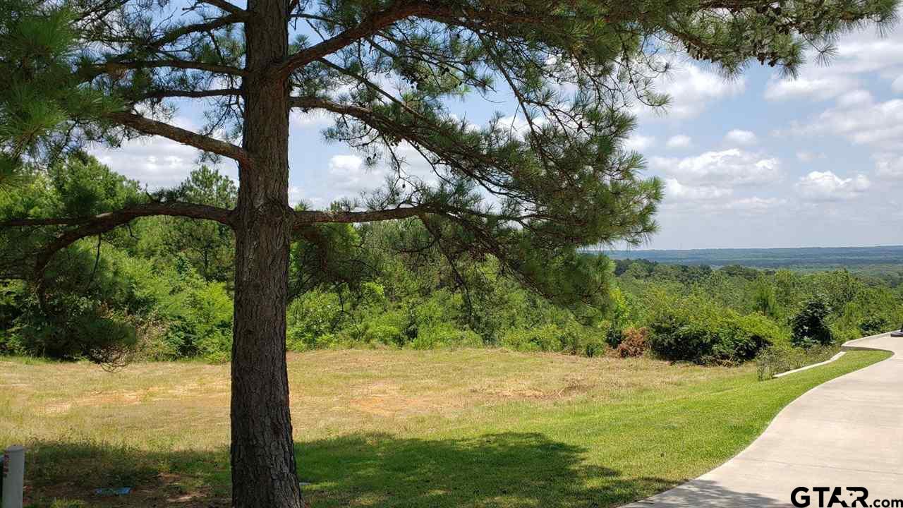 11082 Skyline Dr.