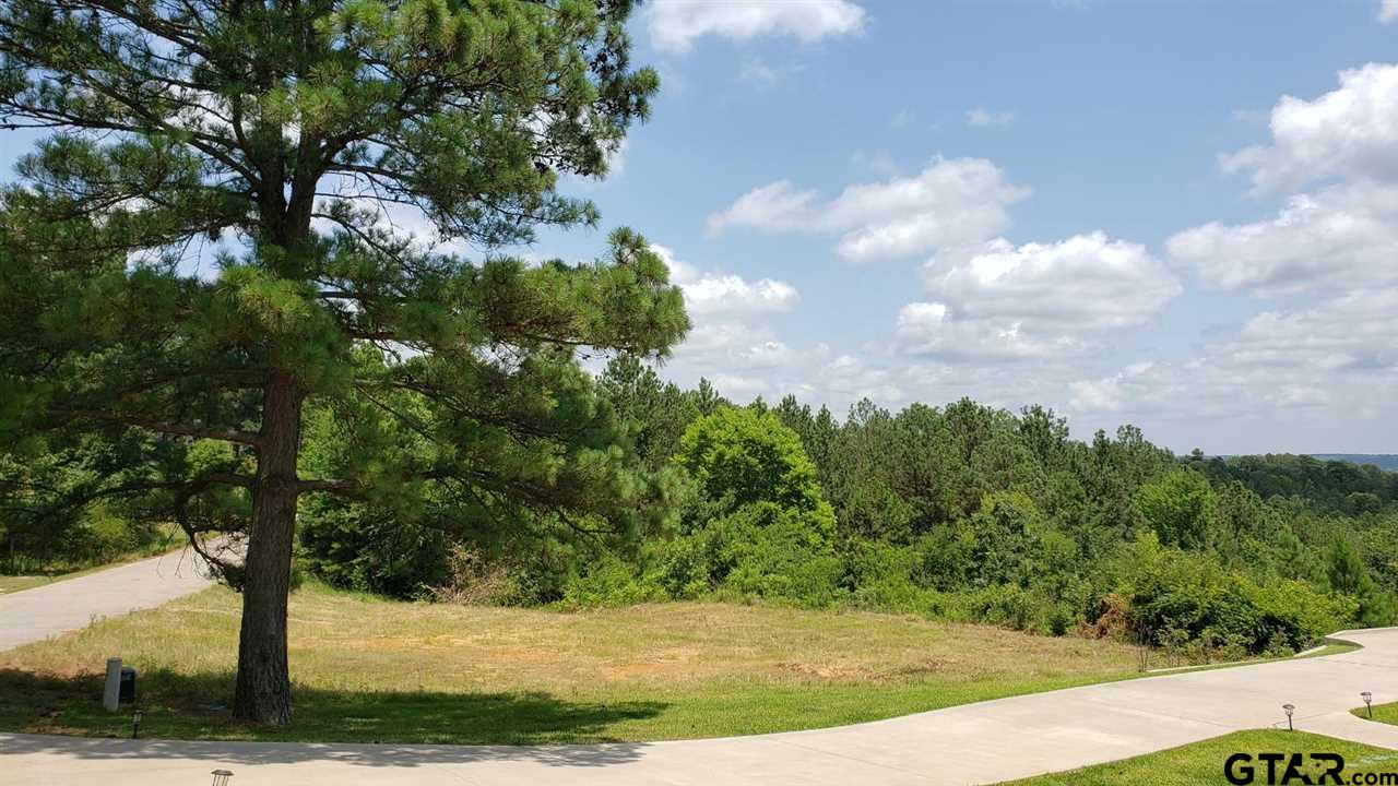 11082 Skyline Dr.