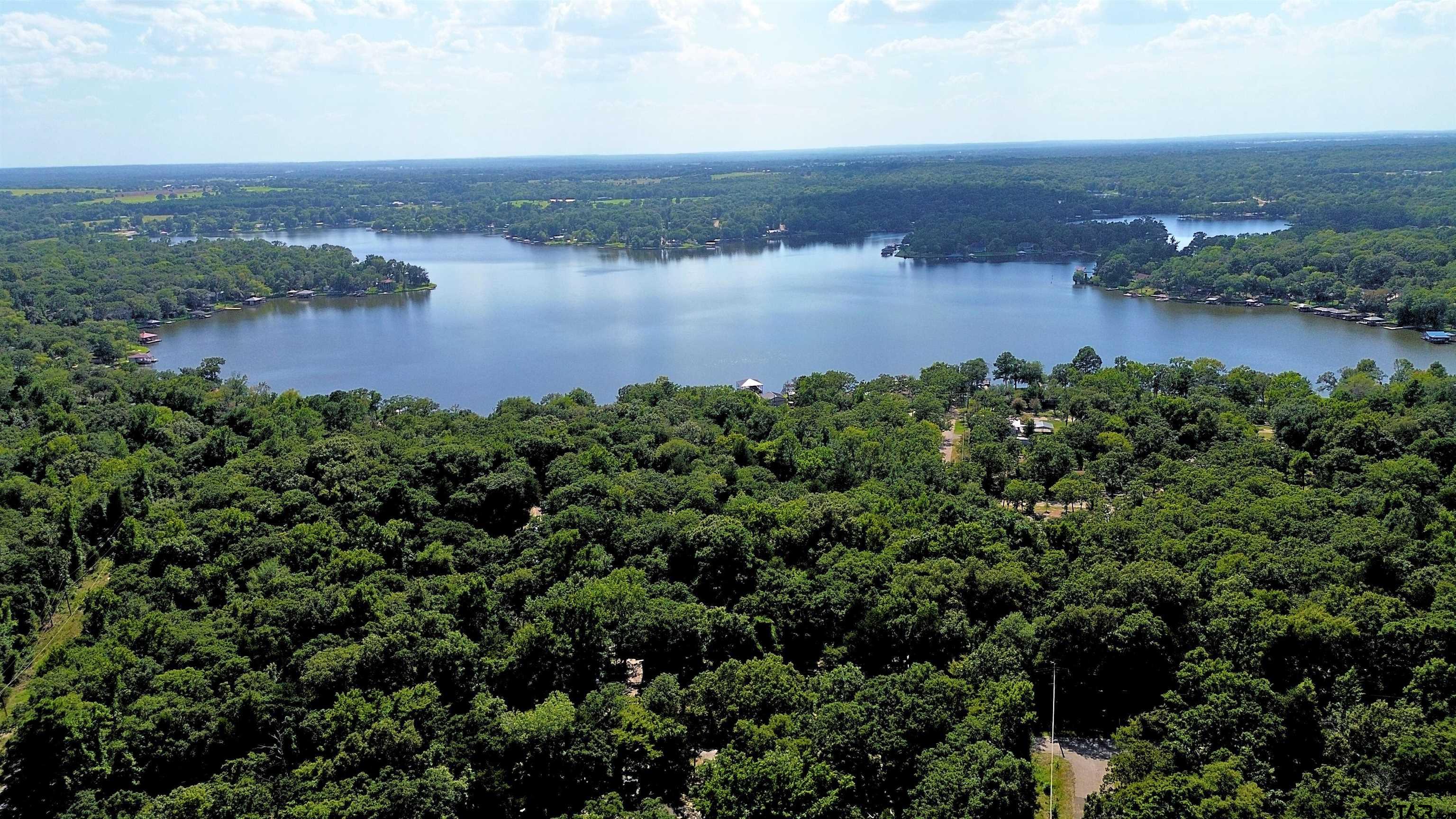 239 Briar Valley Dr - Photo 2