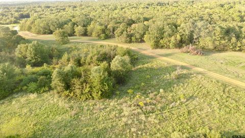 Lot 2 TBD Private Road 4552 Mt Pleasant TX 75455