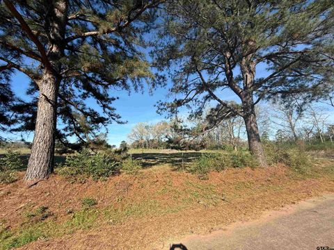 TBD Lot 3 CR 476 Henderson TX 75654