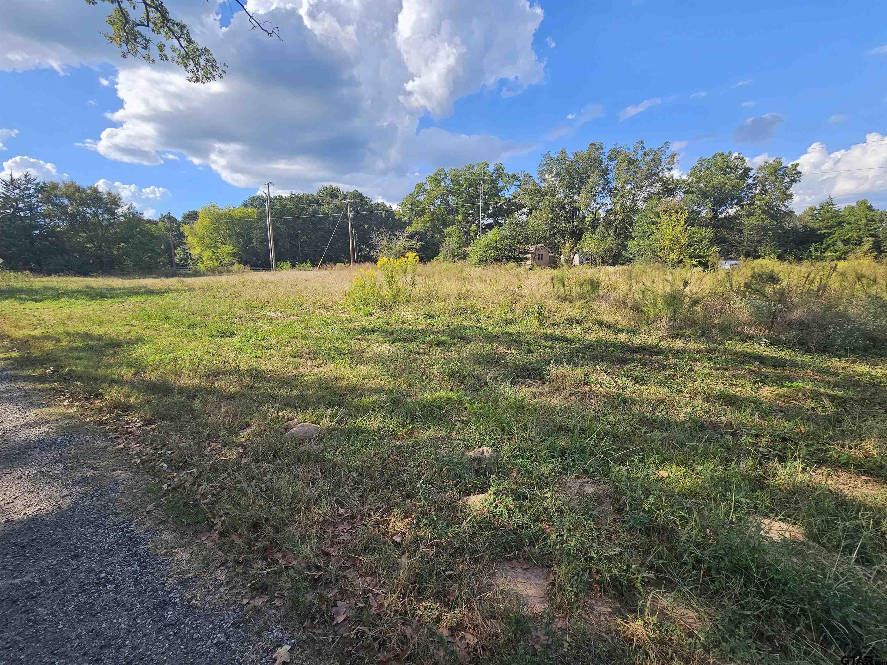 TBD FM 315 & CR 3316