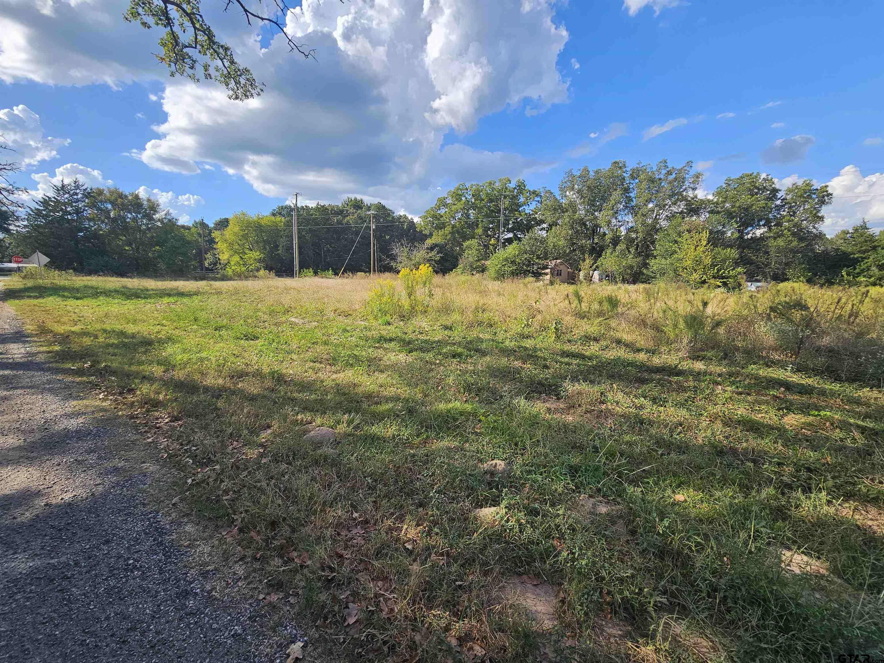 TBD FM 315 & CR 3316