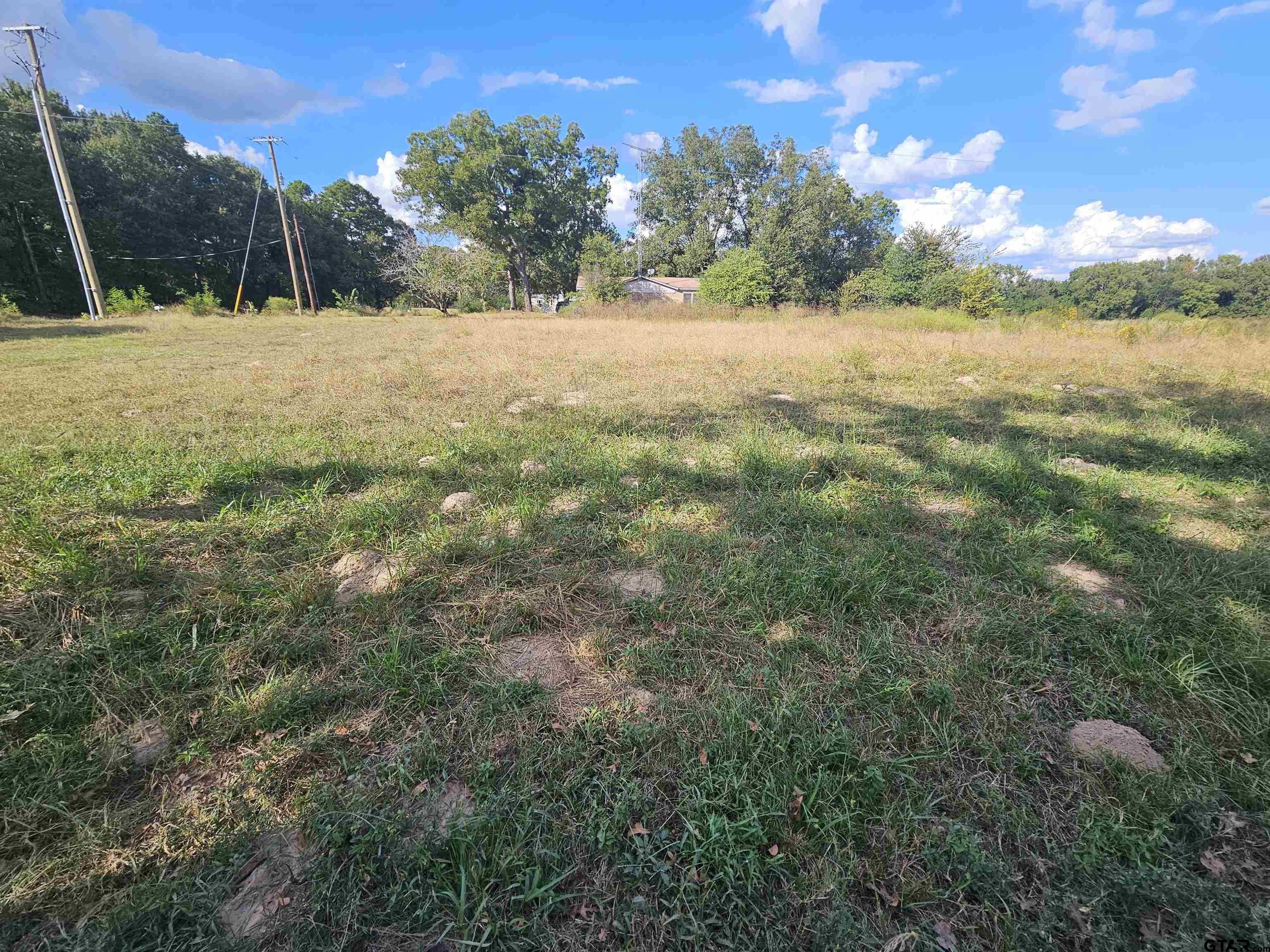 TBD FM 315 & CR 3316