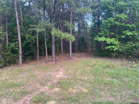 Tract 2 CR 477 Henderson TX 75654