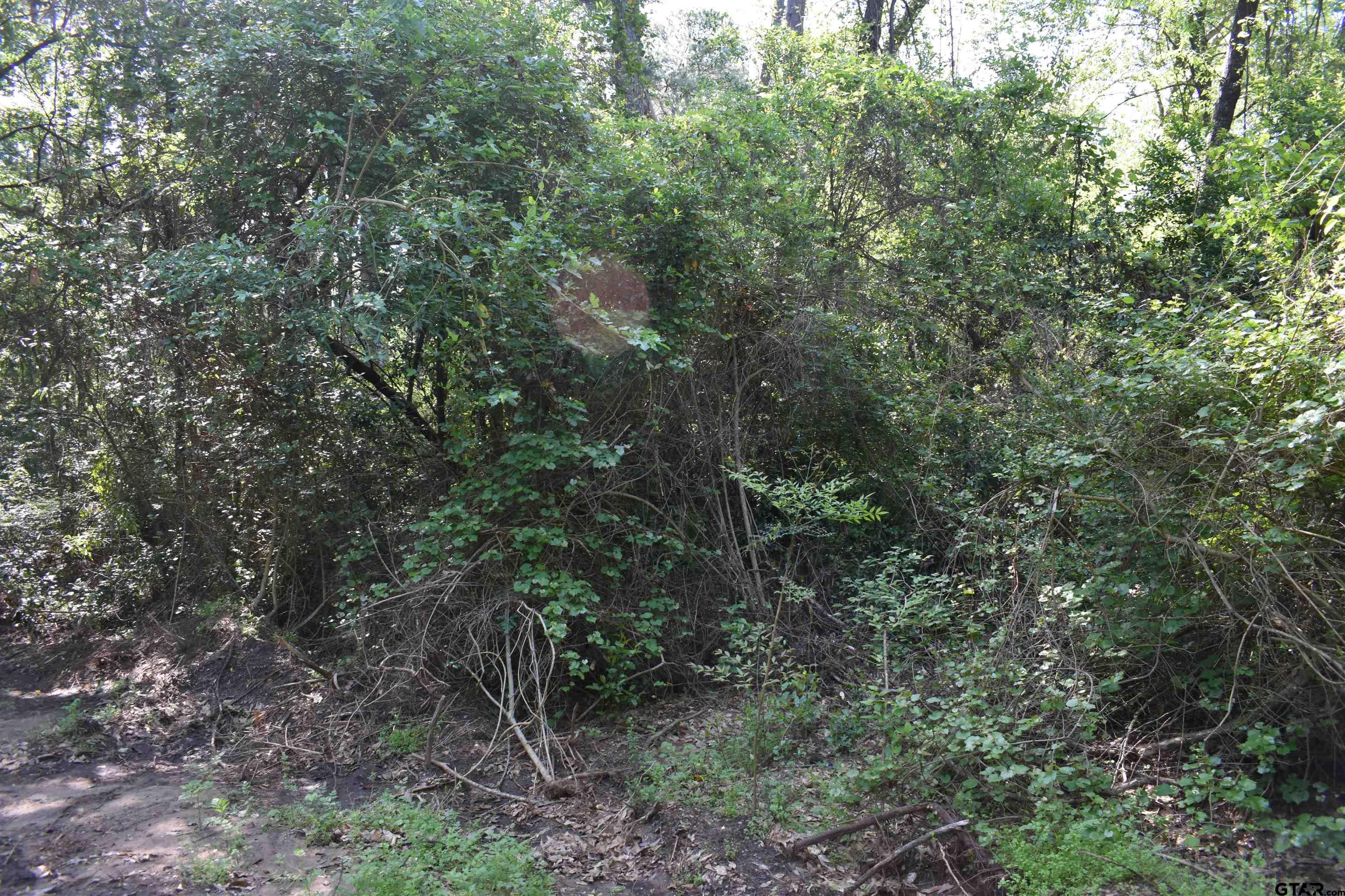 TBD Lot 10 Three Points