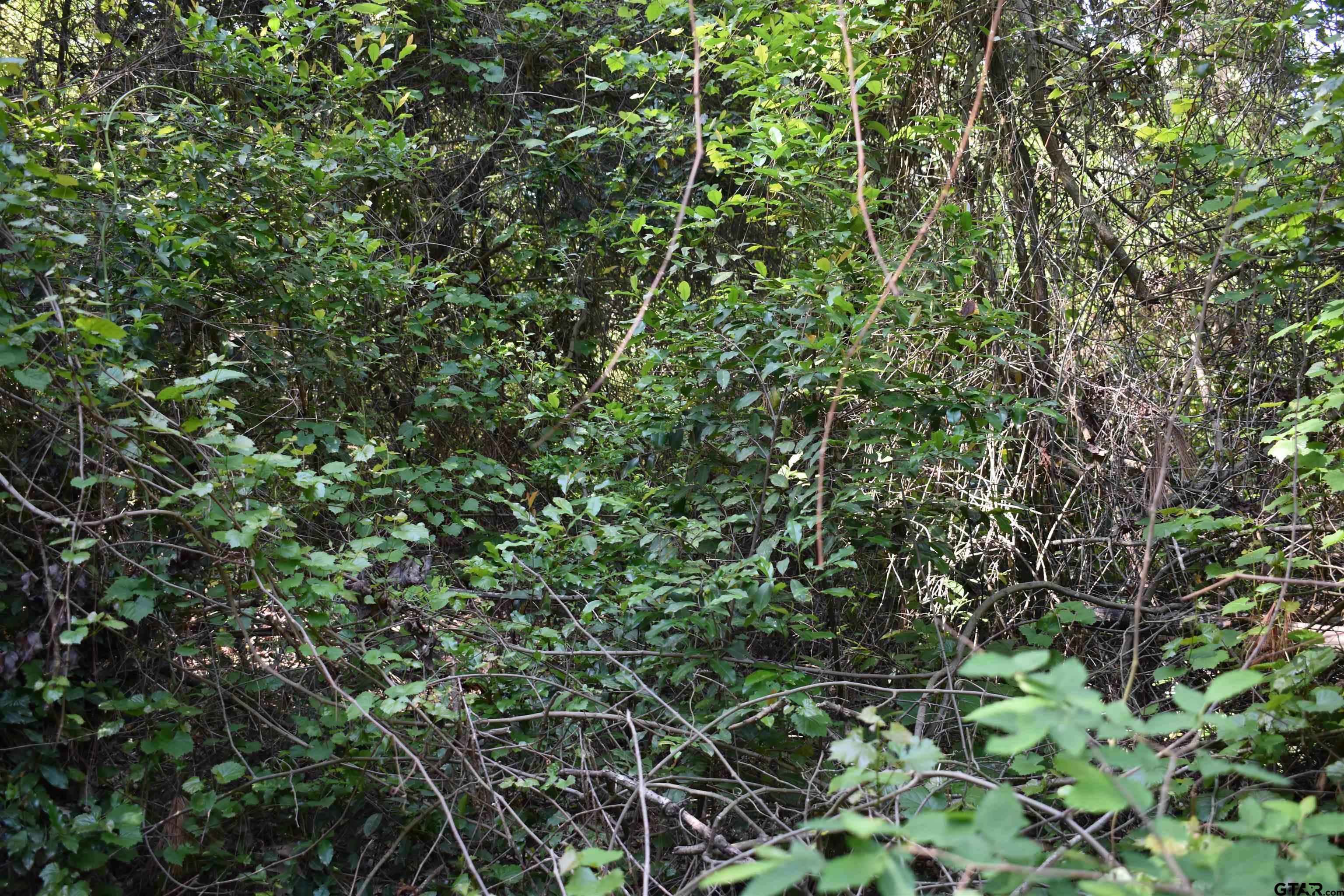 TBD Lot 10 Three Points