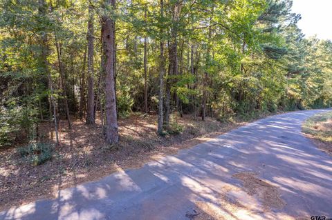 000 Sycamore Rd E/Sid Big Sandy TX 75755