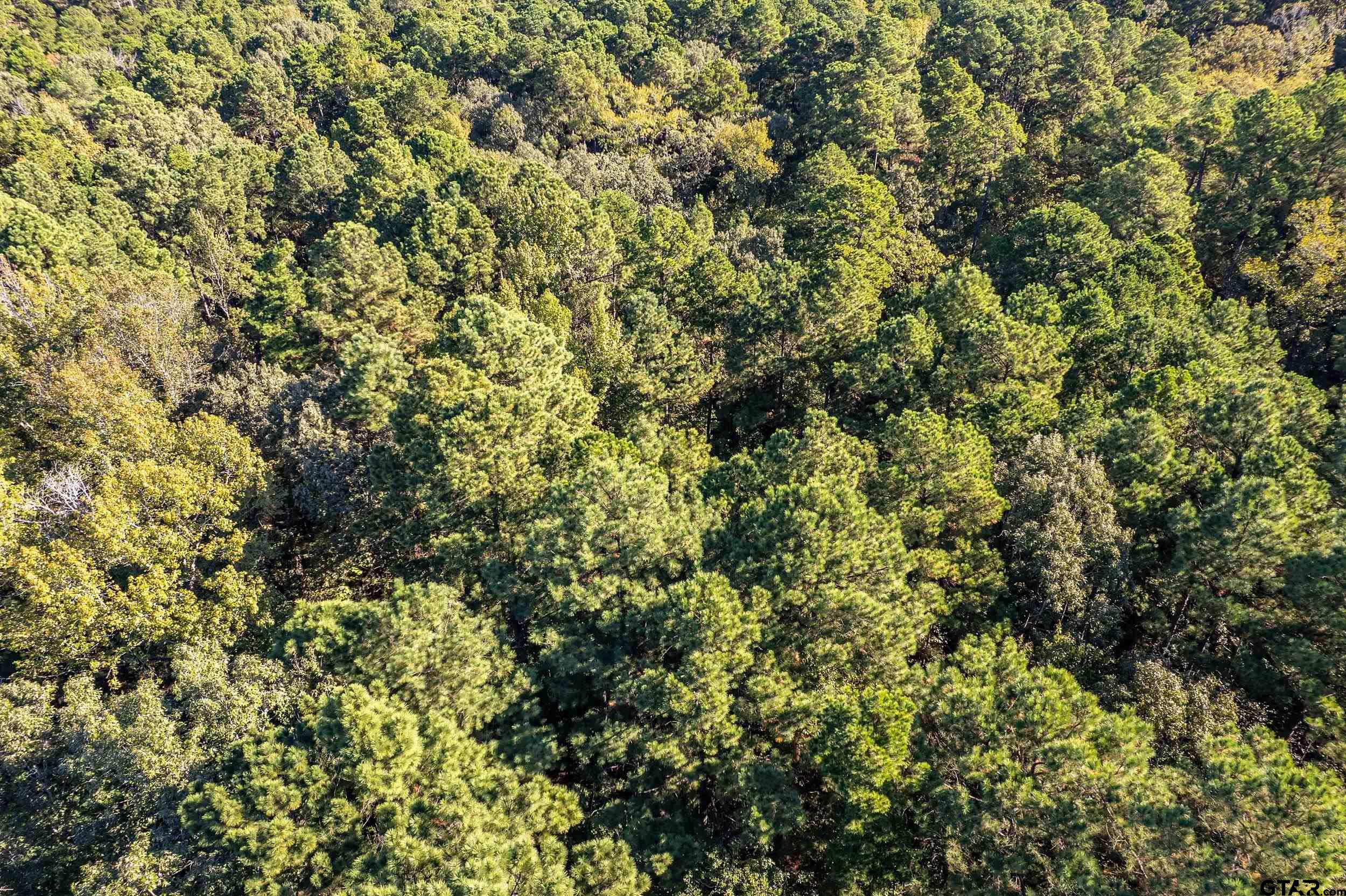 000 Sycamore Rd E/Sid