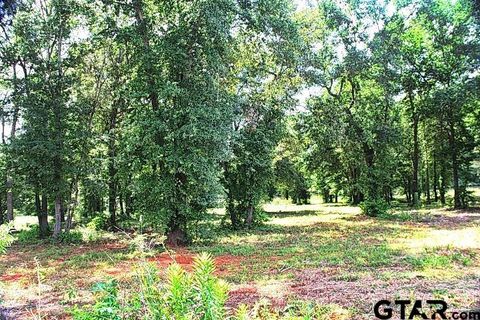 815 Stone Chimney Rd. (Lot 5 CR 3608) Bullard TX 75757