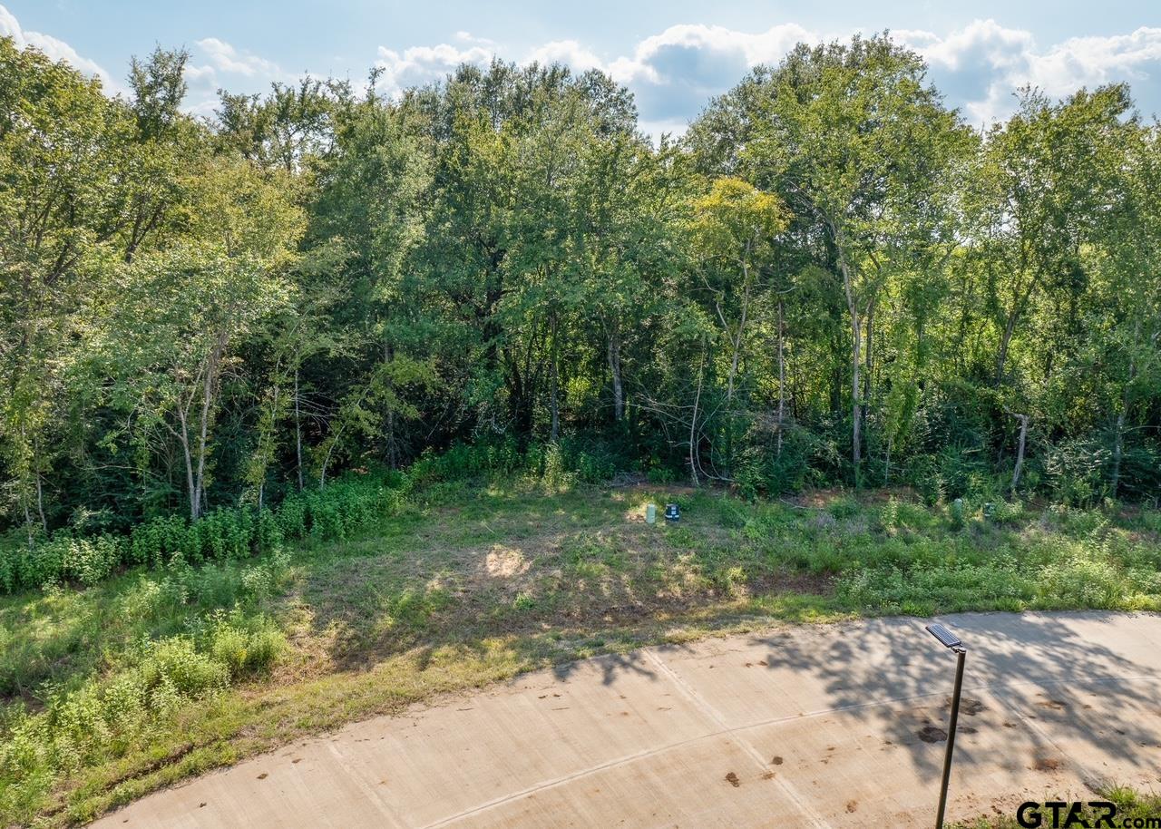 12372 Madison Crossing