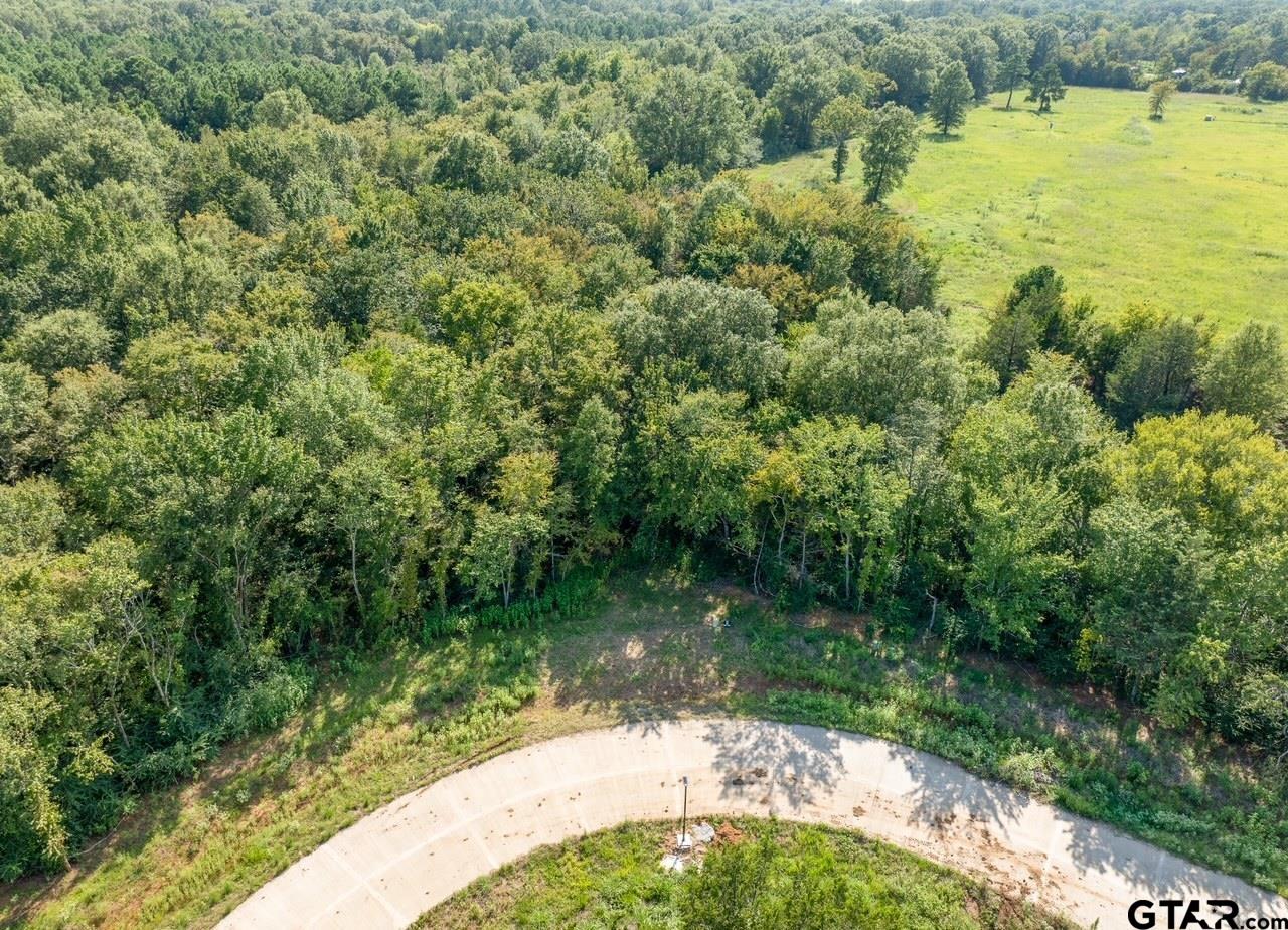 12372 Madison Crossing