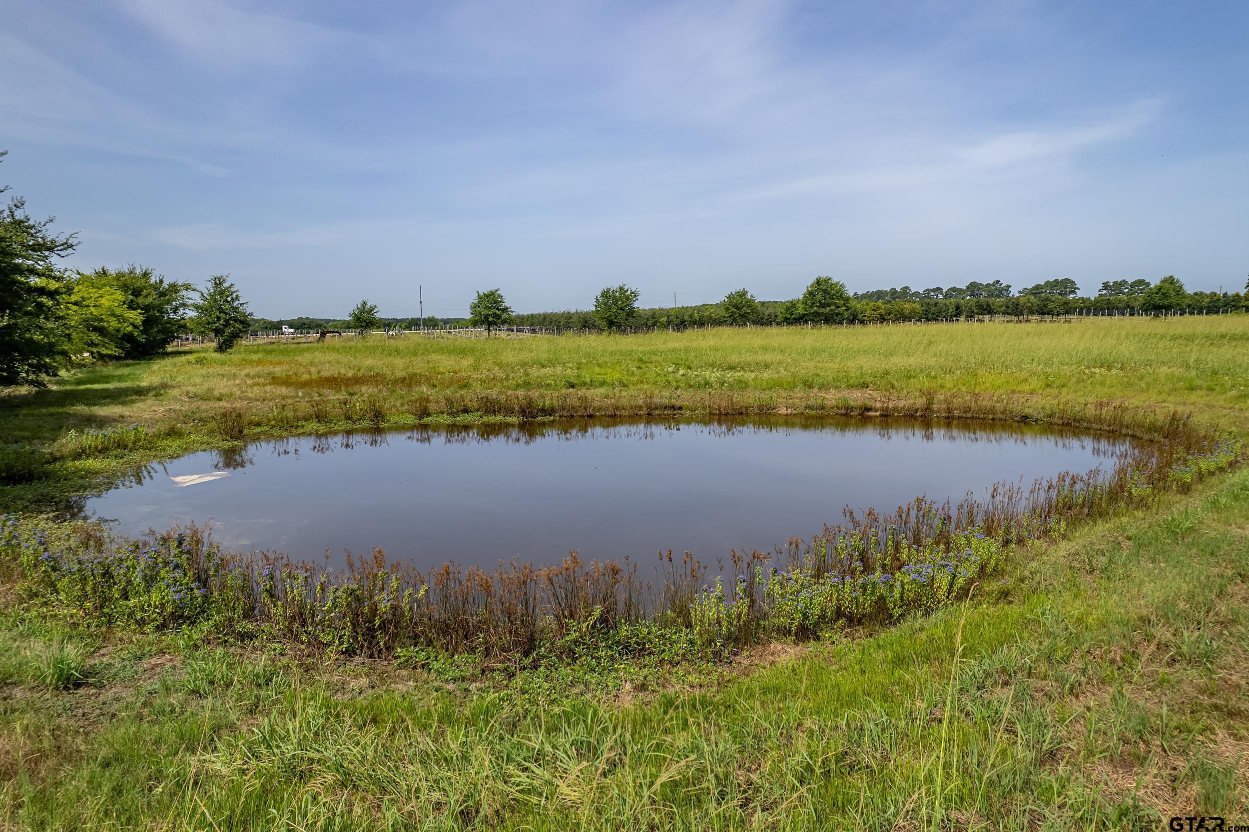 Lot 1 VZ County Road 1516