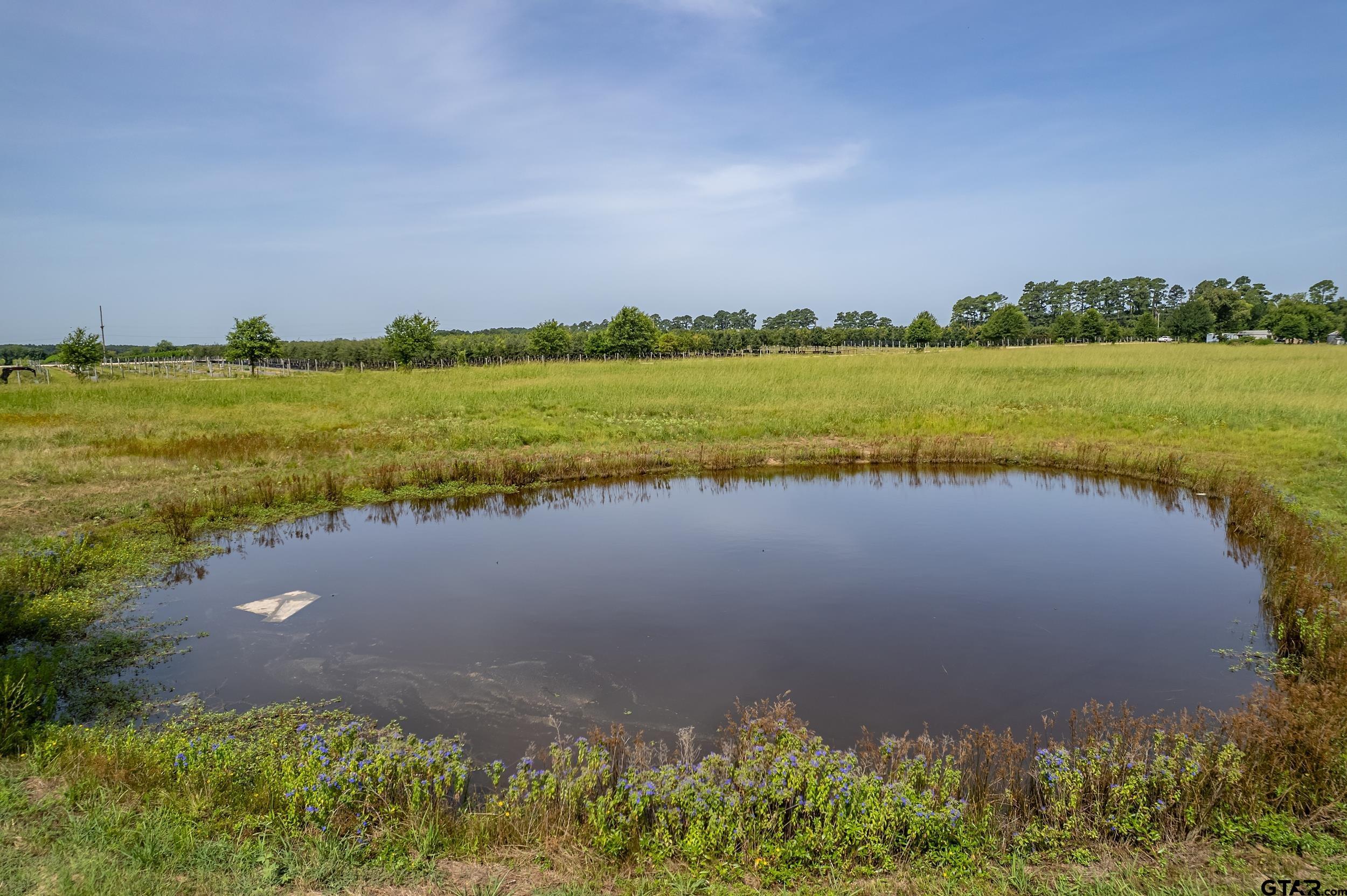 Lot 1 VZ County Road 1516