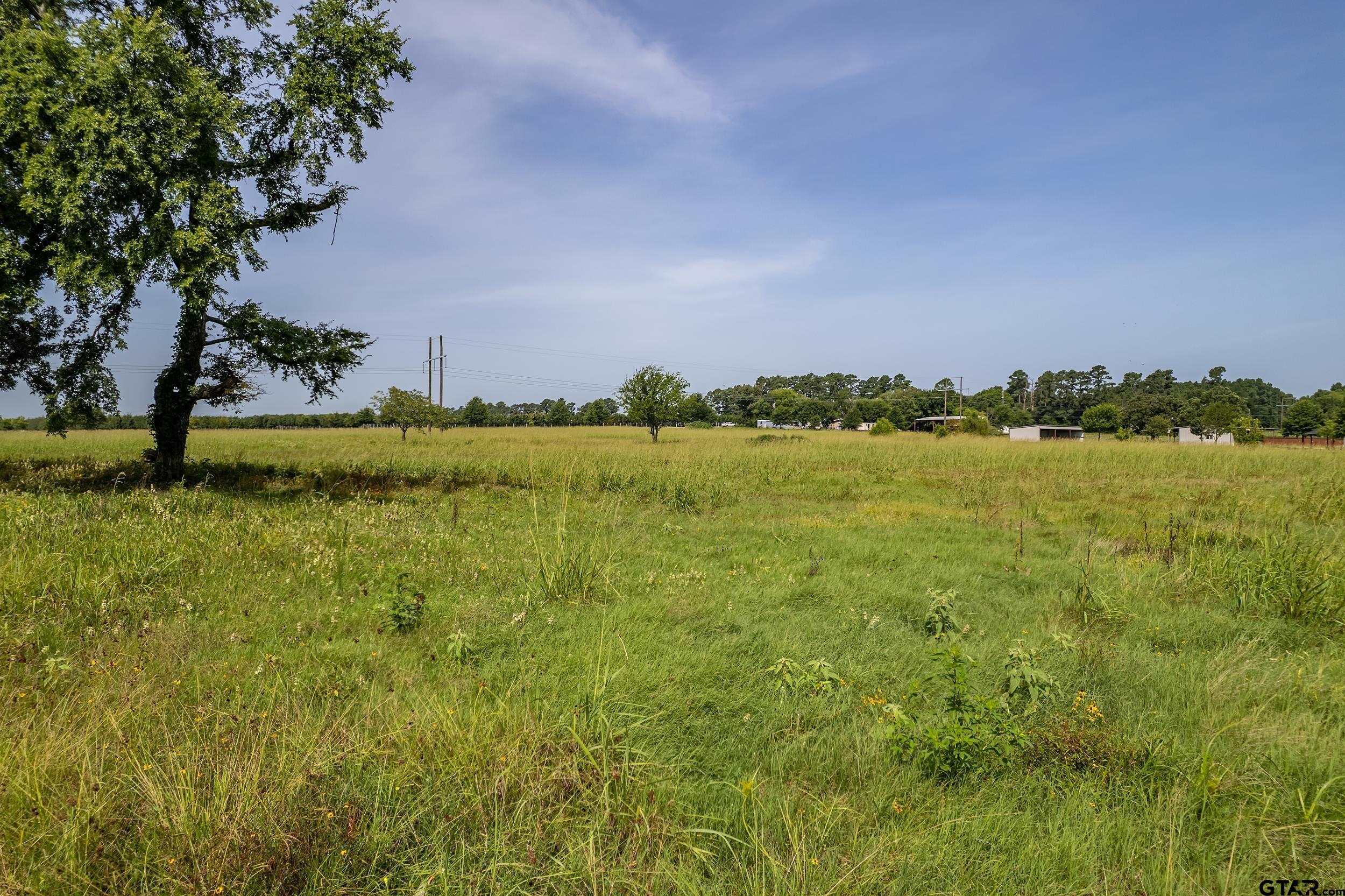 Lot 1 VZ County Road 1516