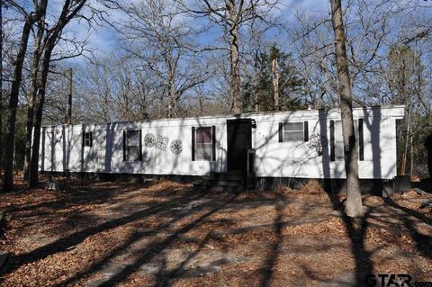 A home in Holly Lake Ranch