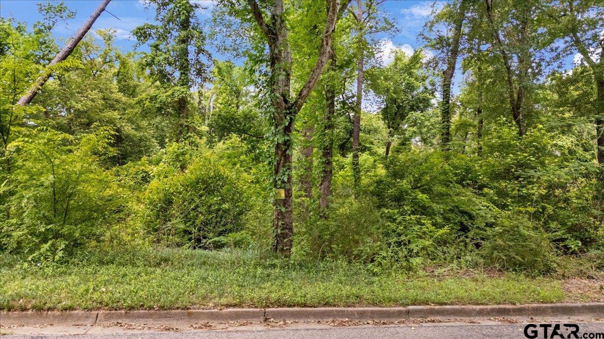 4933 Kirkcaldey  DR.