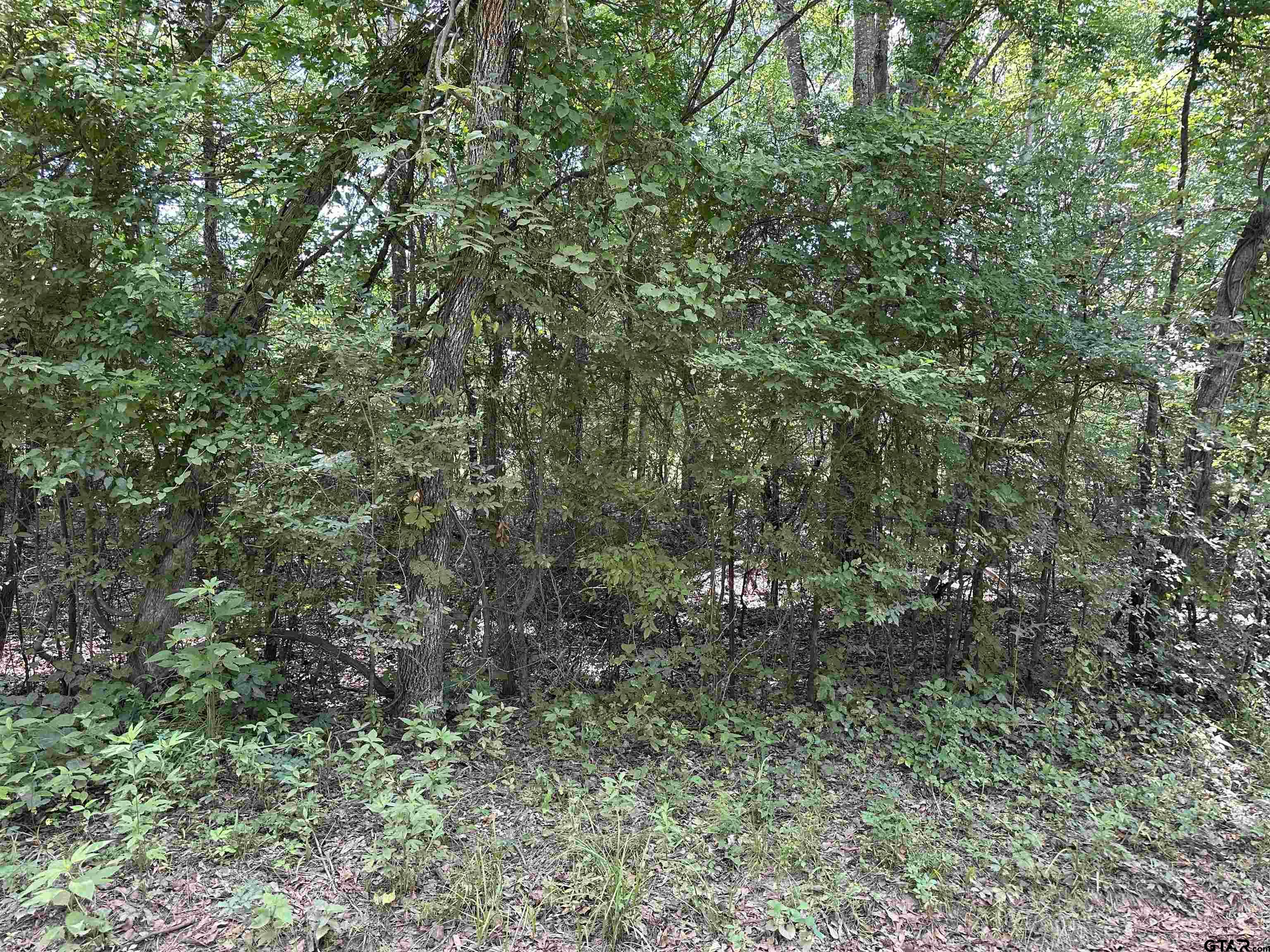 Tract 23 Juniper Rd