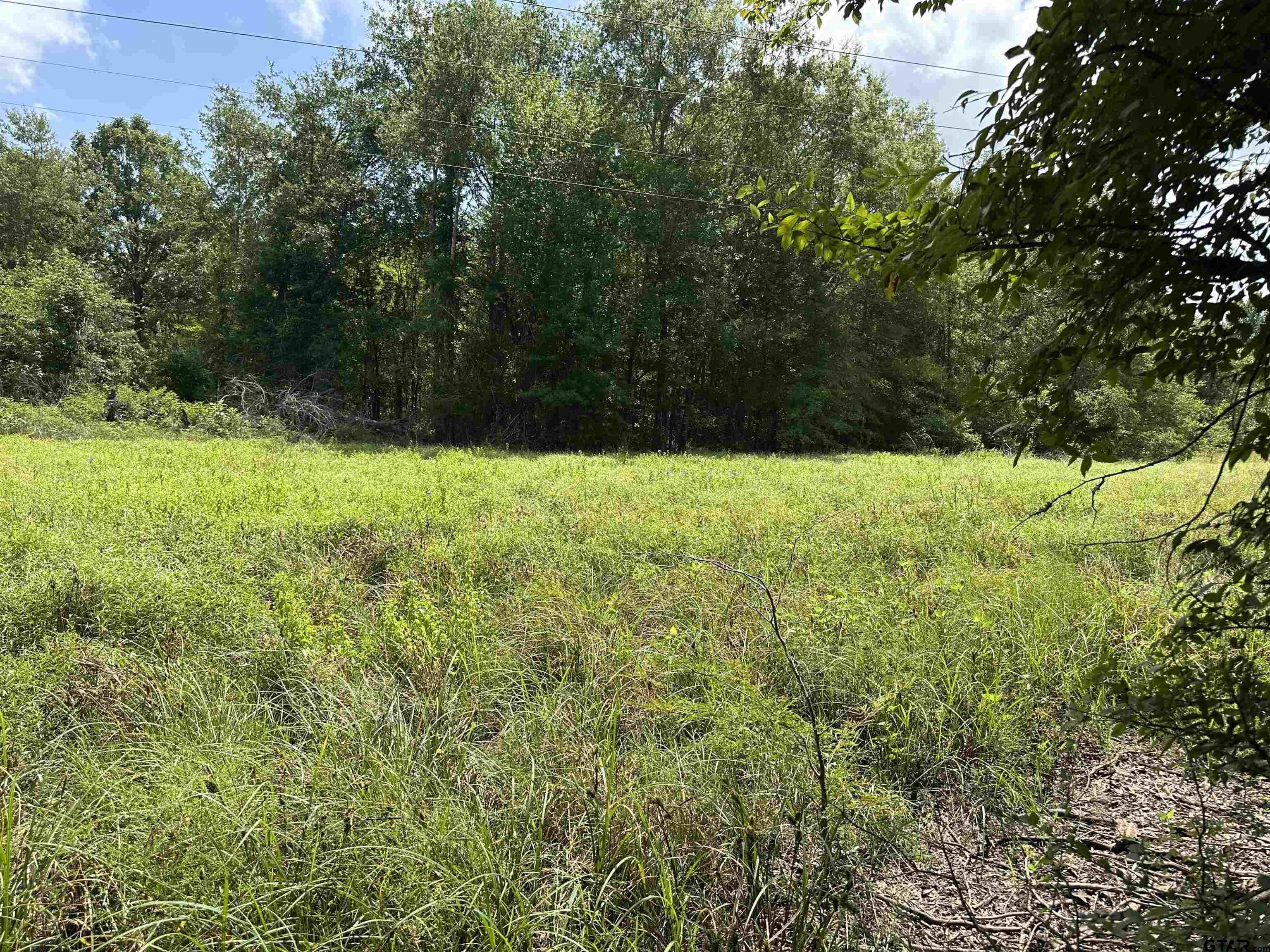 Tract 23 Juniper Rd