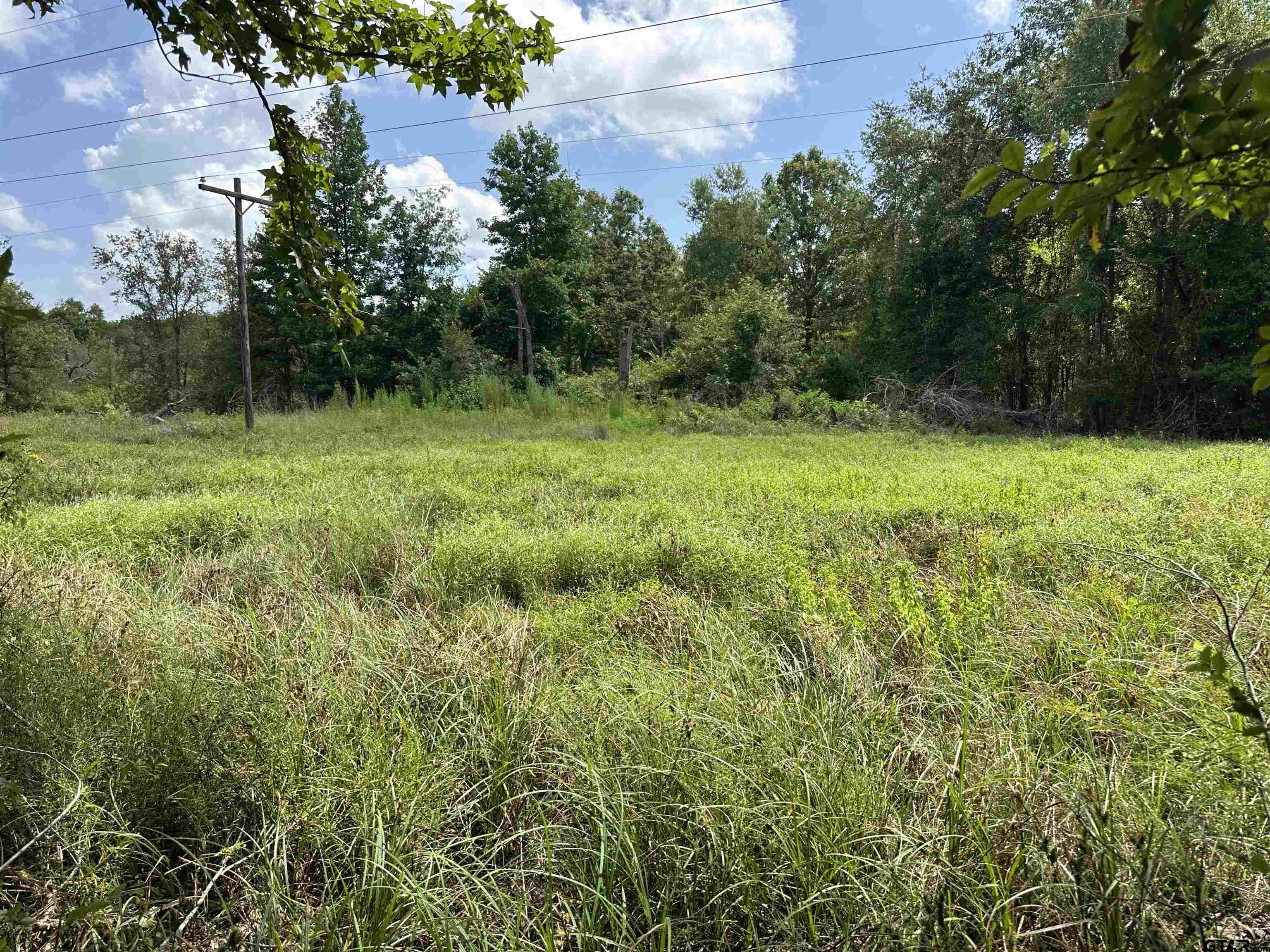 Tract 23 Juniper Rd