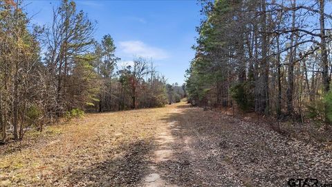 TBD HIGHWAY 135 Troup TX 75789