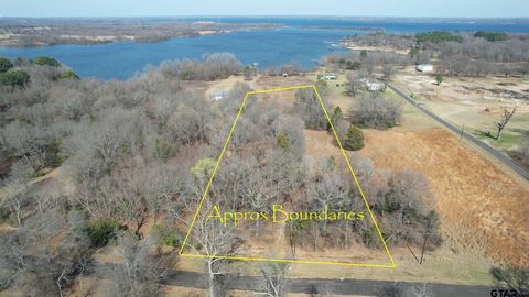 TBD County Rd 1575 Alba TX 75410