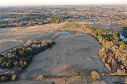 TBD FM 177 Troup TX 75789