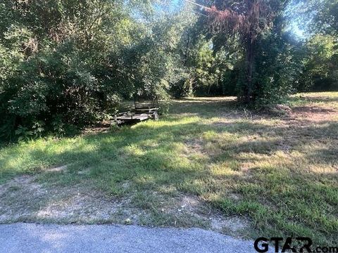 LOT 219 RIM OF THE WORLD Tool TX 75143