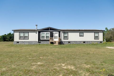 1337 An County Road 451 Palestine TX 75803