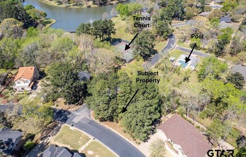 4002 Pinecreek Dr Tyler TX 75707