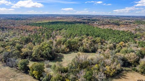 TBD CR 3170 Winnsboro TX 75494