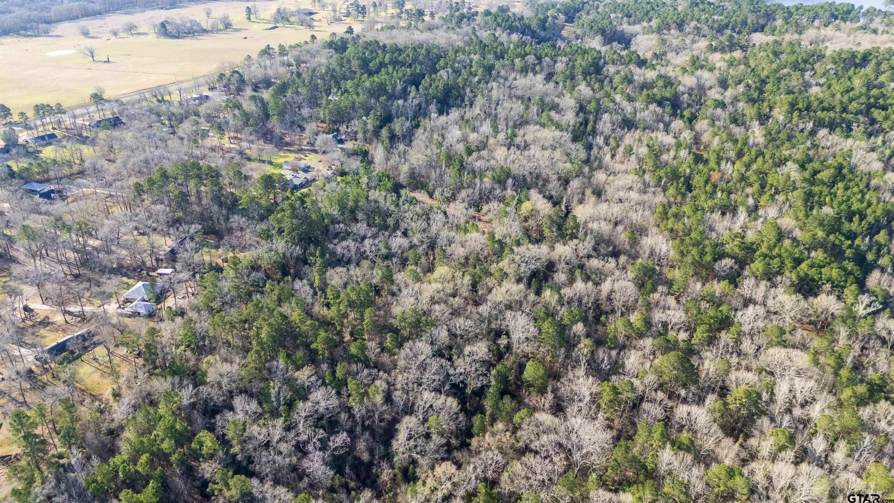 TBD Neches Trace (15.951 Acres)