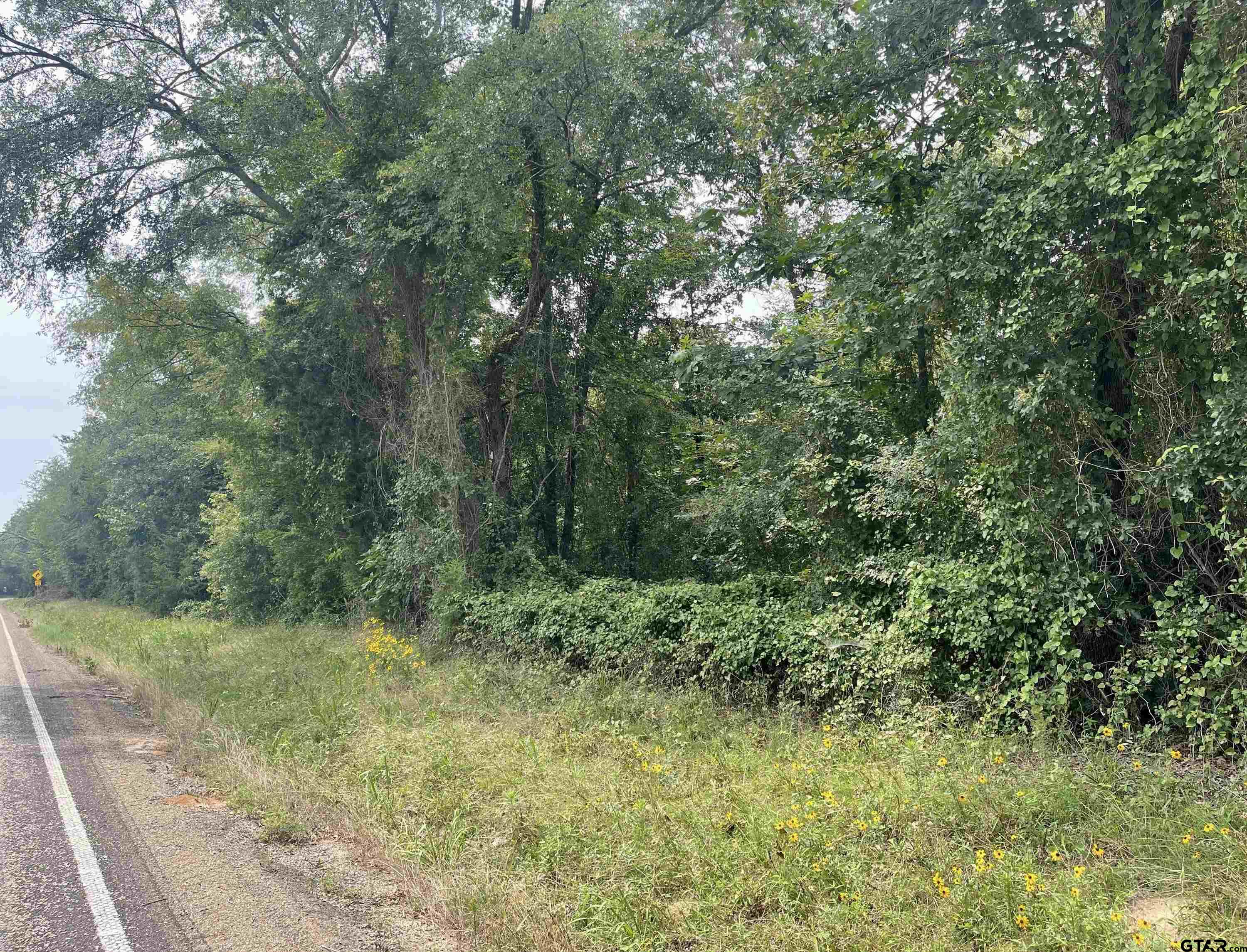 Photo 1 of 4 — TBD FM 1519, Pittsburg, TX 75686