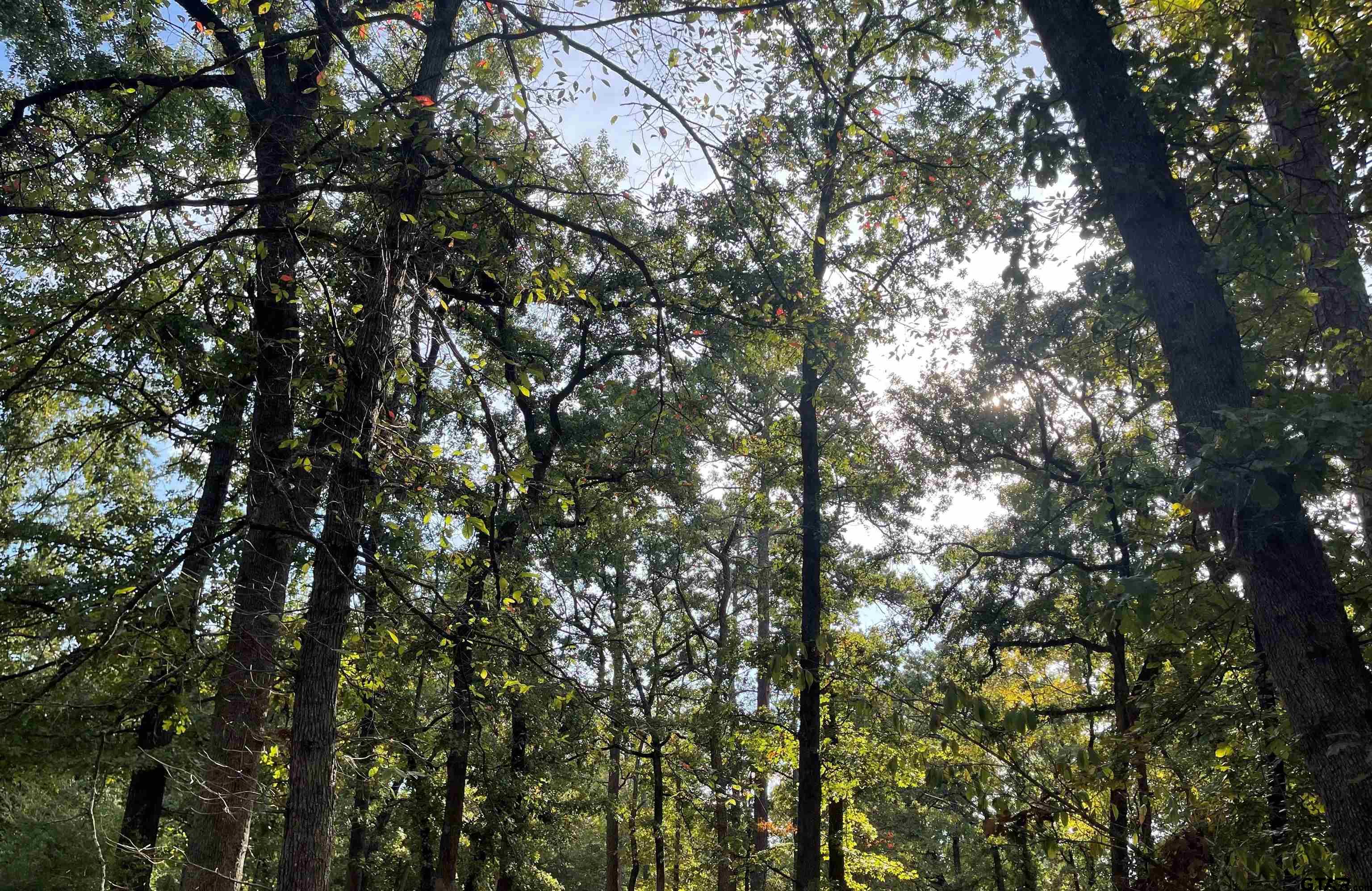 246 Spring Lake Knoll