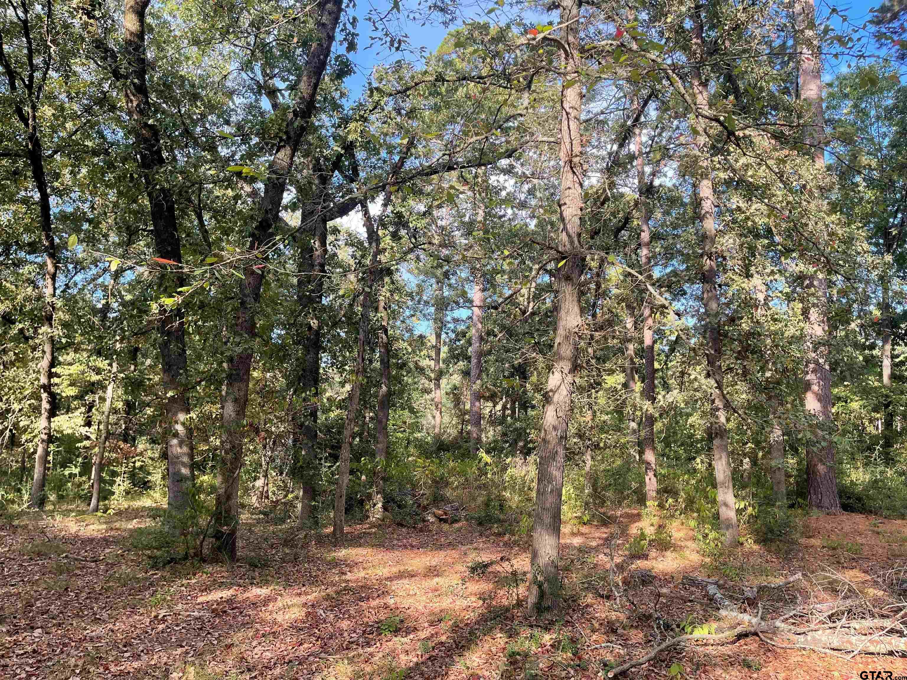 246 Spring Lake Knoll