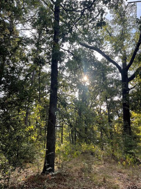 246 Spring Lake Knoll Holly Lake Ranch TX 75765