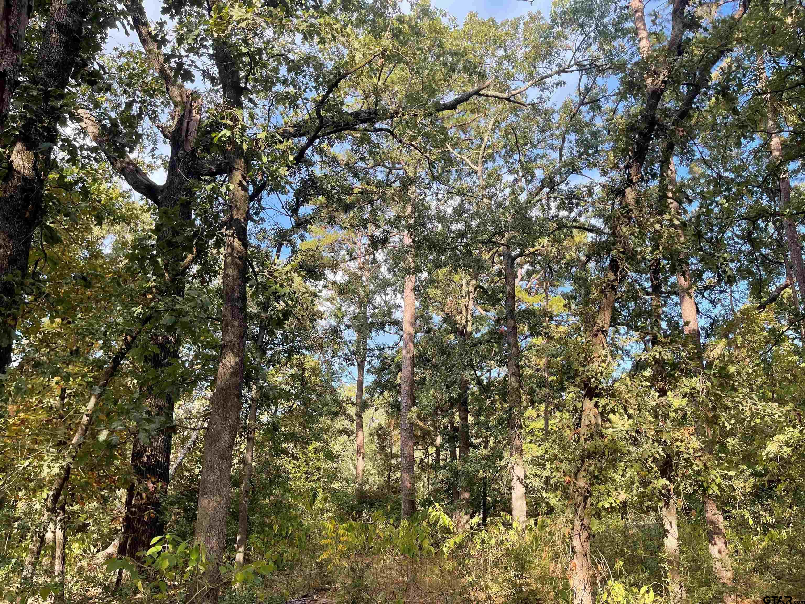 246 Spring Lake Knoll