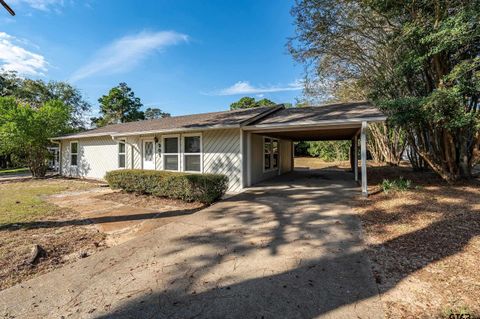 307 Lone Star Ln Hideaway TX 75771