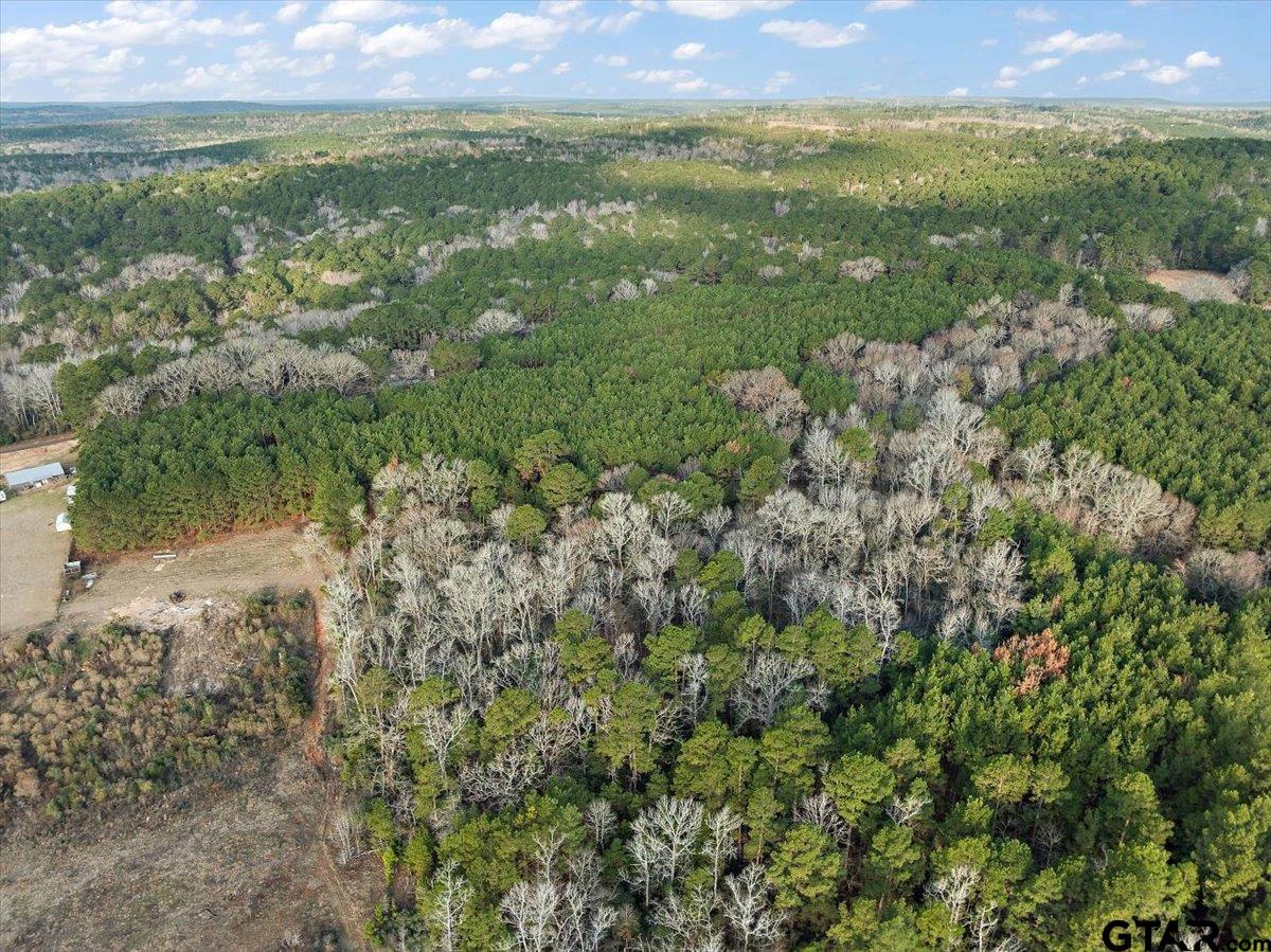 1409 County Road 2326