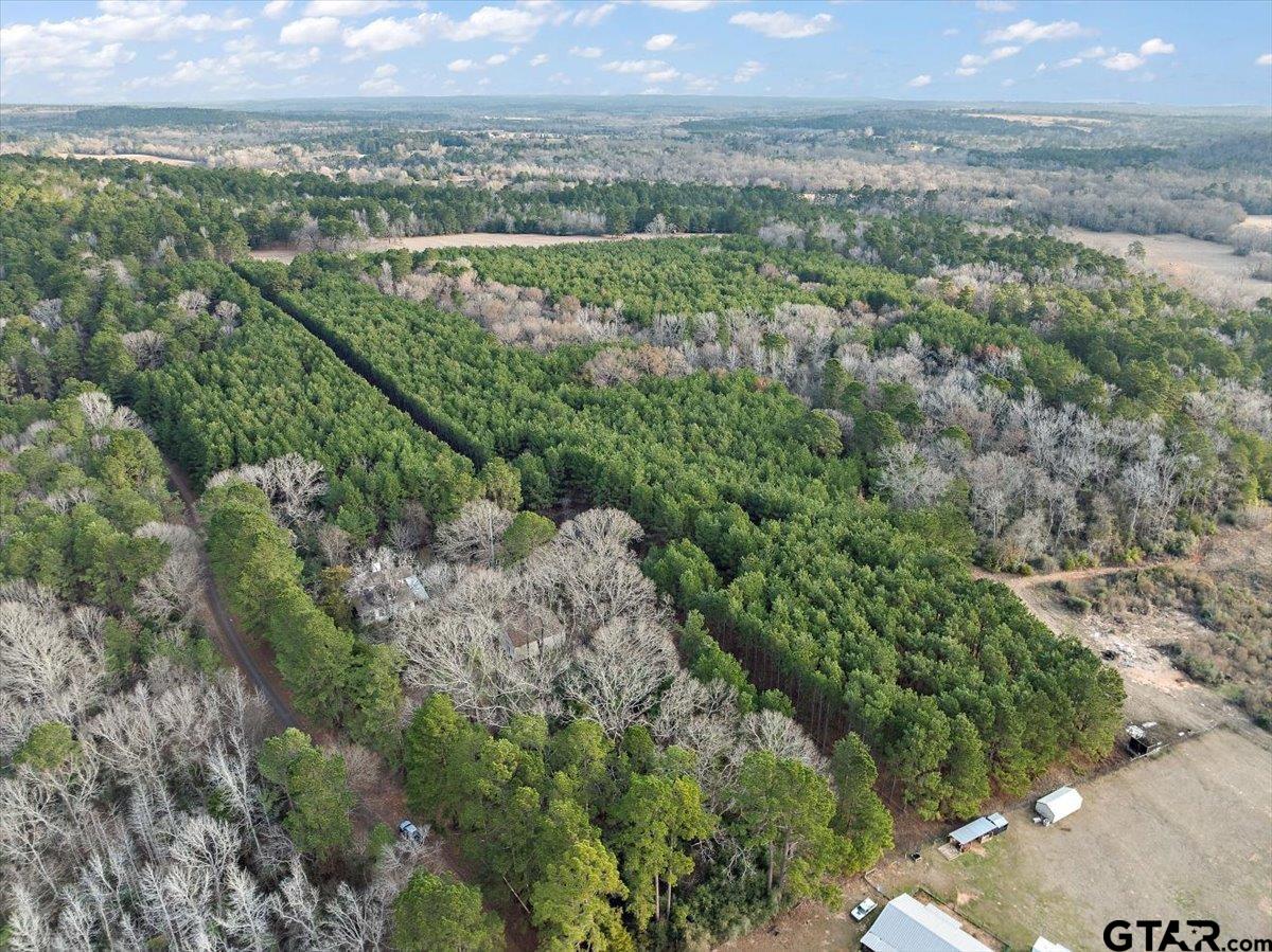 1409 County Road 2326