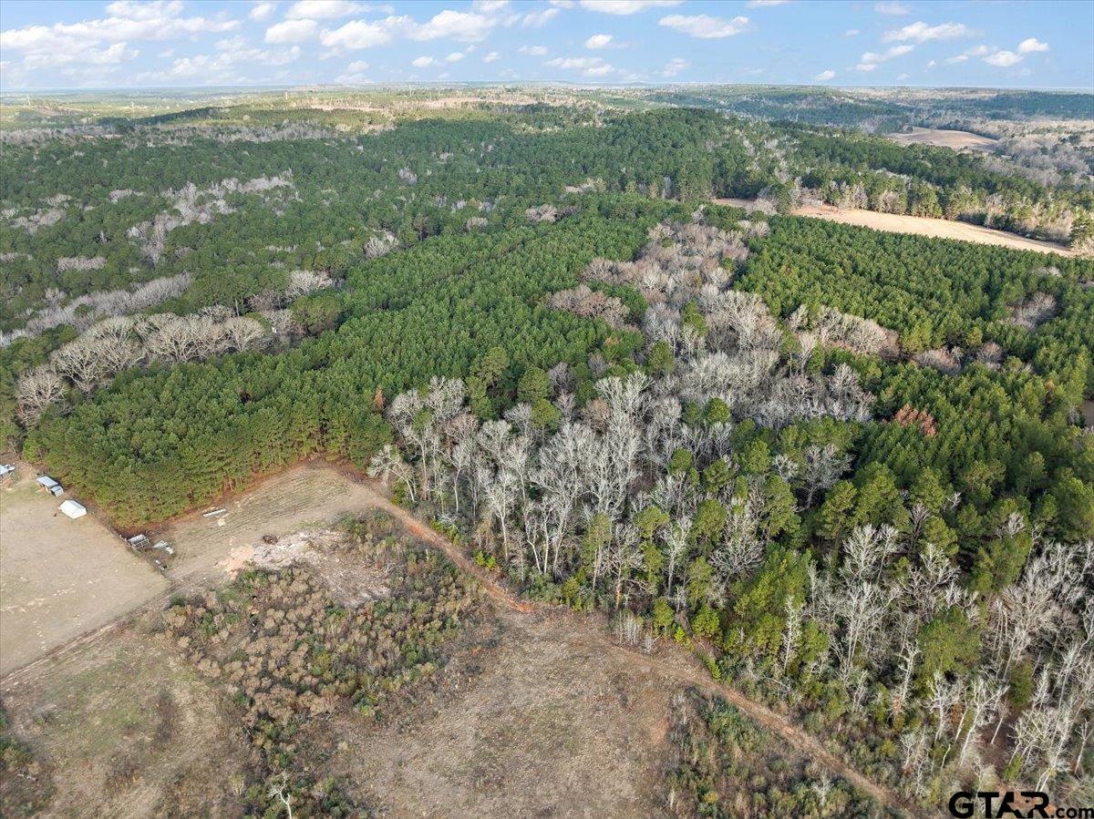 1409 County Road 2326